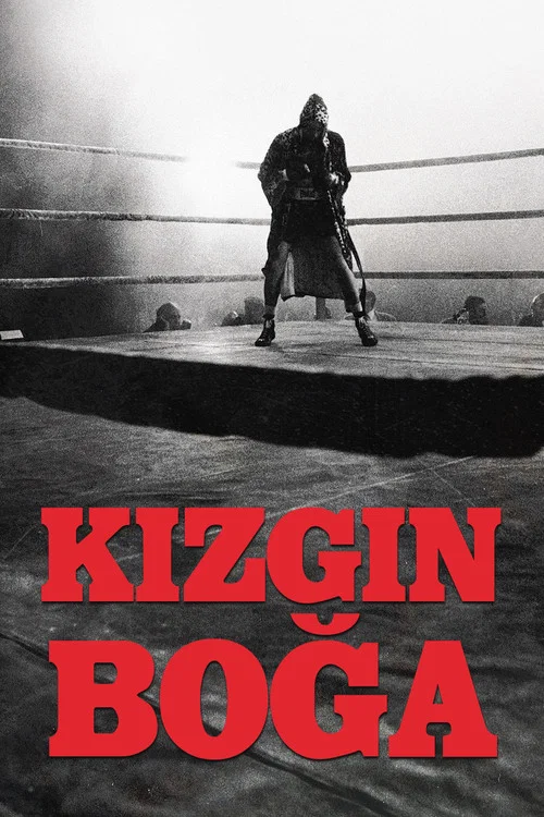 Boğa Boğa