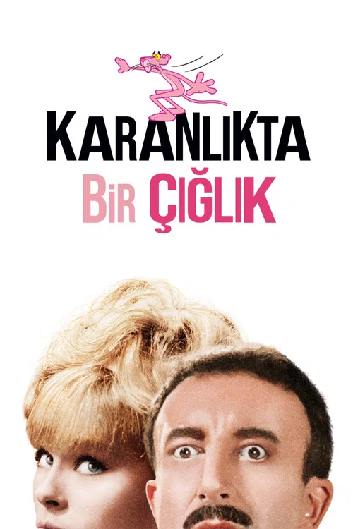 Karanlıkta bir çığlık