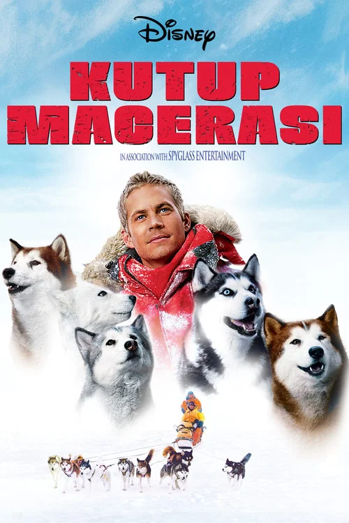 Kutup macerası